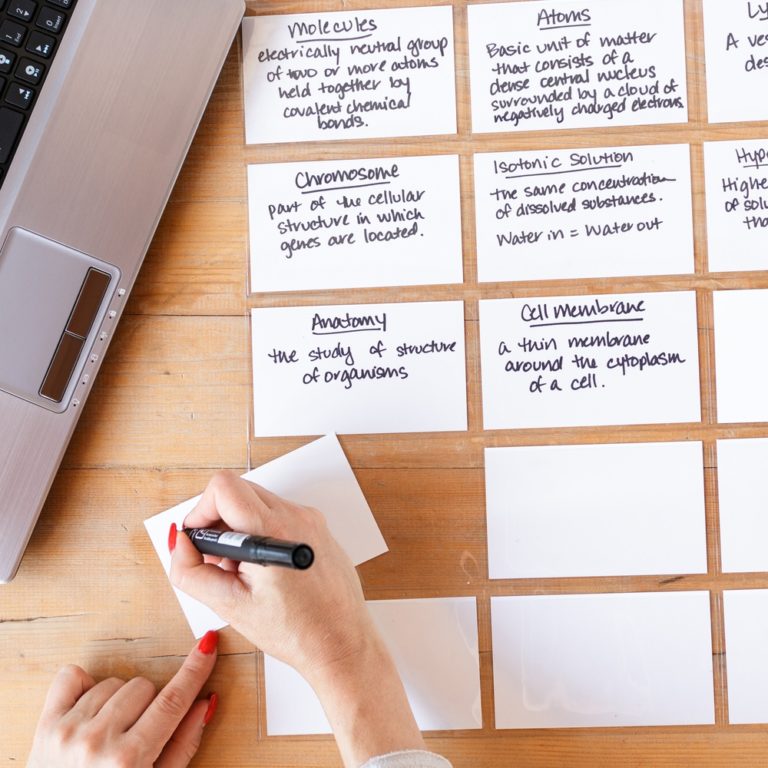 Hanging Index Card Holder Sleeve ProSimpli